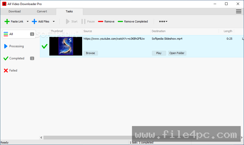The Format Conversion settings menu illustrating target media container choices including MP4, AVI, and MP3.